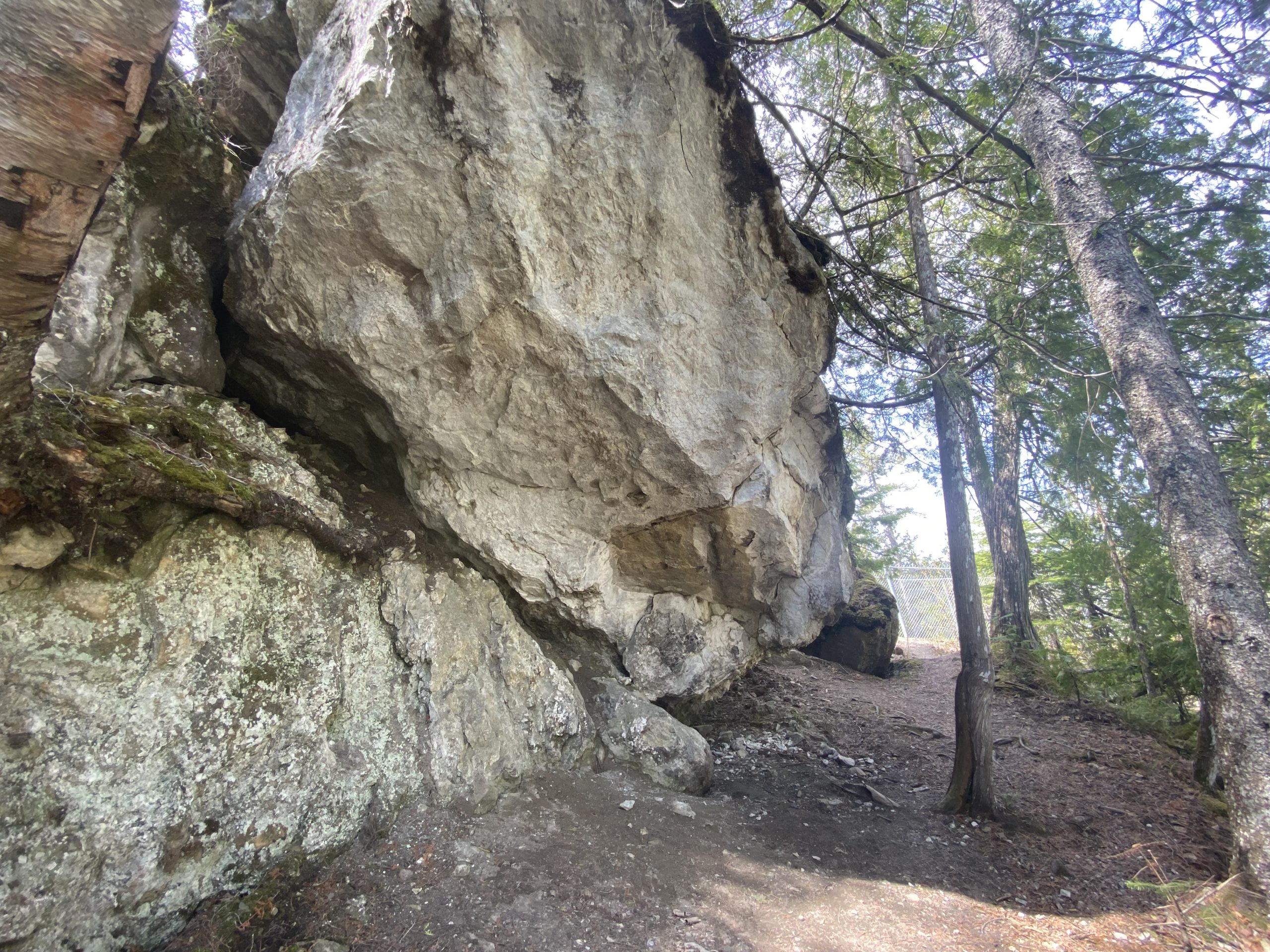 Image de galerie