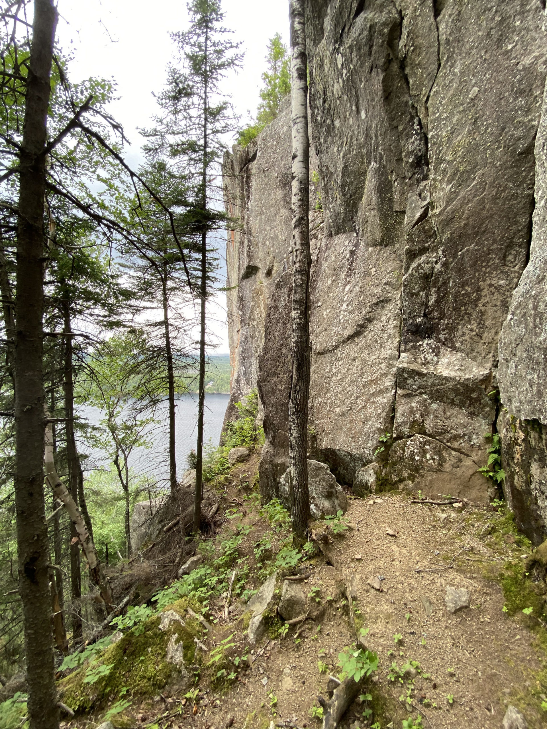 image gallerie