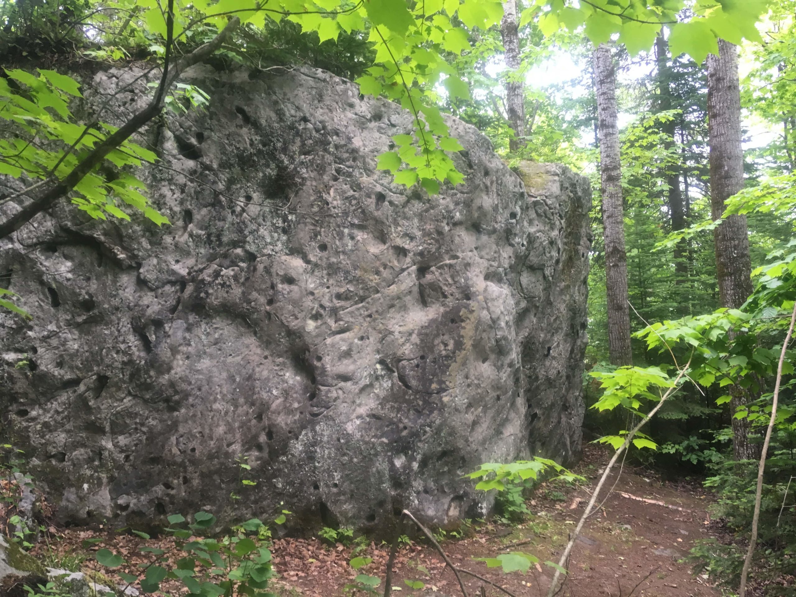 image gallerie