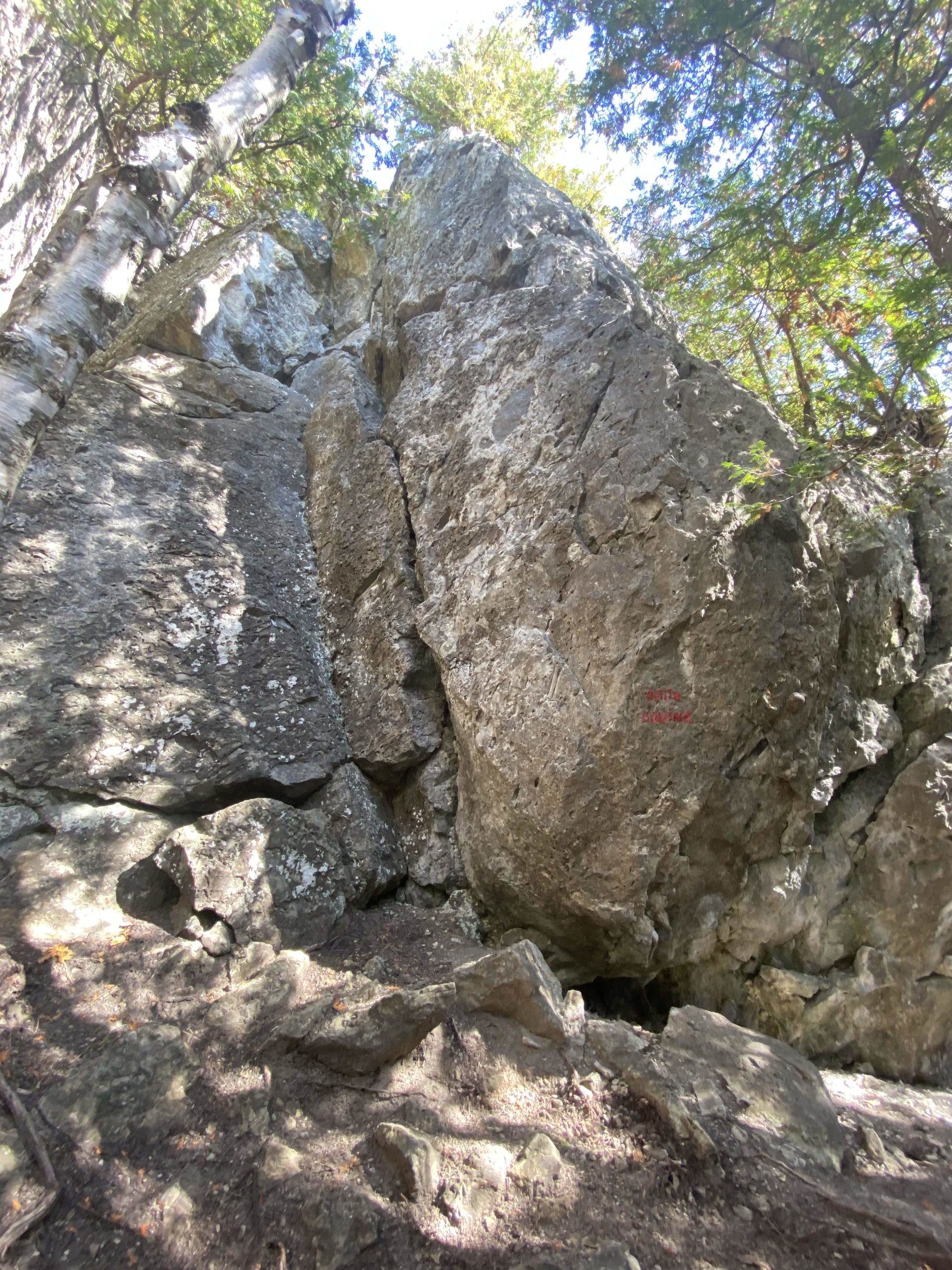 image gallerie