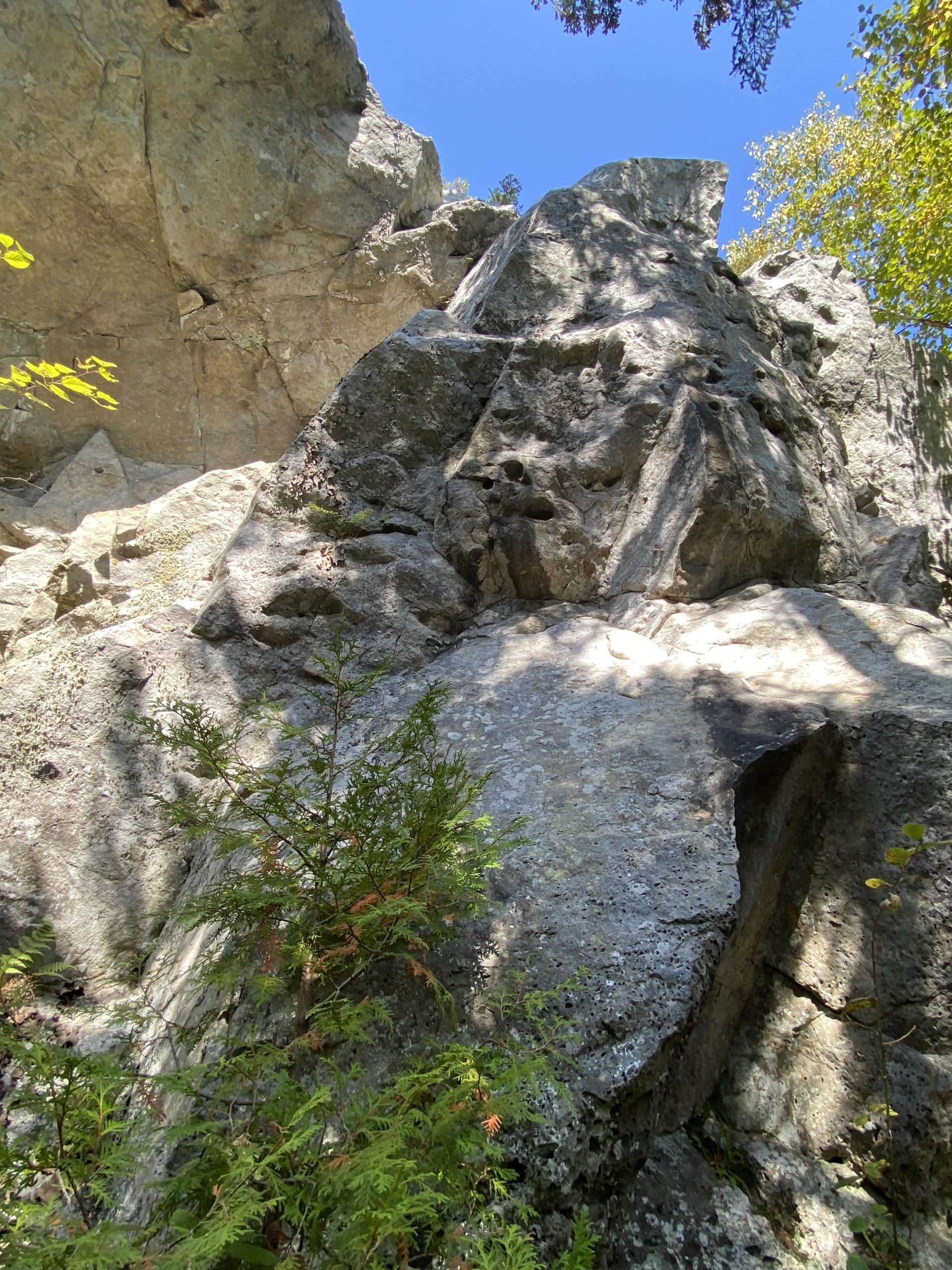 image gallerie